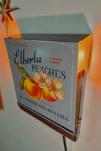 Load image into Gallery viewer, M.C. Cumberland Orchards Elberta Peaches
